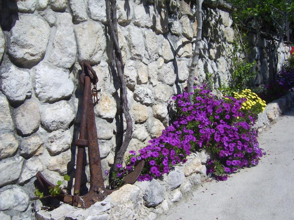 Apartments Villa More Makarska Exterior foto